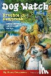 Casanova, Mary - Trouble in Pembrook
