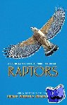 Clark, William S., Wheeler, Brian K. - A Photographic Guide to North American Raptors