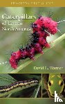 Wagner, David L. - Caterpillars of Eastern North America