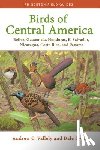 Vallely, Andrew, Dyer, Dale - Birds of Central America