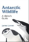 Lowen, James - Antarctic Wildlife