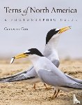 Cox, Cameron - Terns of North America
