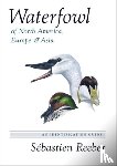 Reeber, Sebastien - Waterfowl of North America, Europe, and Asia