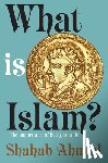Ahmed, Shahab - What Is Islam?