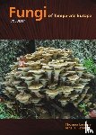 Læssøe, Thomas, Petersen, Jens H. - Fungi of Temperate Europe