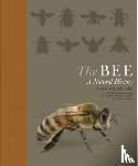 Noah Wilson-Rich - The Bee