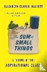 Currid-Halkett, Elizabeth - The Sum of Small Things