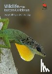 Holliday, Steve, Holliday, Gill - Wildlife of the Eastern Caribbean