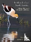 Dunne, Pete, Karlson, Kevin T. - The Shorebirds of North America