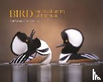  - Bird Photographer of the Year