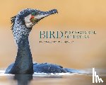  - Bird Photographer of the Year