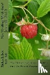 Lee N. D., Rickey L. - No Healing Medicines!: I've Claimed the promise... So Why Am I Not Healed? Because there are: