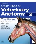 Ashdown, Raymond R. (Emeritus Reader in Veterinary Anatomy, Done, Stanley H. (Visiting Professor of Veterinary Pathology - Color Atlas of Veterinary Anatomy, Volume 2, The Horse