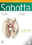  - Sobotta Atlas of Anatomy, Vol. 3, 17th ed., English/Latin