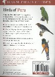 Schulenberg, Thomas S., Lane, Daniel F., Stotz, Douglas F., O'Neill, John P. - Field Guide to Birds of Peru
