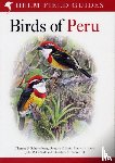 Schulenberg, Thomas S., Lane, Daniel F., Stotz, Douglas F., O'Neill, John P. - Field Guide to Birds of Peru