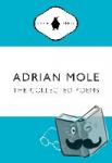 Townsend, Sue - Adrian Mole: The Collected Poems