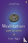 Hagen, Steve - Meditation Now or Never