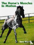 Wyche, Sara - Horse's Muscles in Motion