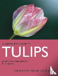 Smith, Matthew, Smith, Grete - Tulips