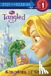 Lagonegro, Melissa - Tangled: Kingdom of Color