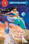Liberts, Jennifer - What Is a Princess? (Disney Princess)
