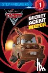 Lagonegro, Melissa - Secret Agent Mater