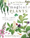 Kynes, Sandra - The Witches' Encyclopedia of Magical Plants