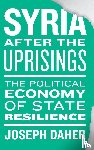 Daher, Joseph - Syria after the Uprisings