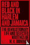 Domingo, W. A. - Red and Black in Harlem and Jamaica