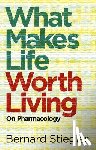 Stiegler, Bernard (Bernard Steigler: Centre Georges-Pompidou) - What Makes Life Worth Living