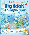 Doherty, Gillian, Brocklehurst, Ruth, Milbourne, Anna - Big Book of Things to Spot