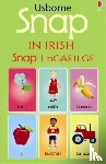 Brooks, Felicity - Snap in Irish