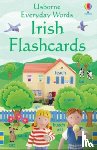 Brooks, Felicity, Robson, Kirsteen - Everyday Words in Irish Flashcards