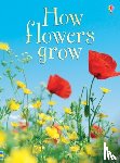 Helbrough, Emma - How Flowers Grow