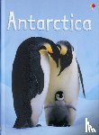 Bowman, Lucy - Antarctica