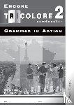 Honnor, S, Mascie-Taylor, H - Encore Tricolore Nouvelle 2 Grammar in Action Pack (x8)