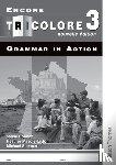 Honnor, S, Mascie-Taylor, H - Encore Tricolore Nouvelle 3 Grammar in Action Pack (x8)