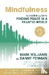 Williams, Prof Mark - Mindfulness