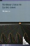 Lissenden, Cliff J. (Penn State University) - Nonlinear Ultrasonic Guided Waves