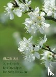 Anness Publishing - Blossom Large Card Box