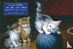 Peony Press - Card Box of 20 Notecards and Envelopes: Kittens and Cats