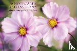 Peony Press - Card Box of 20 Notecards and Envelopes: Pink Cosmos
