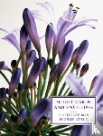 Peony Press - Tin Box of 20 Gift Cards and Envelopes: Flower Style