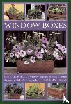 Matthews, Jackie - Window Boxes