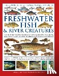 Gilpin, Daniel - The Complete Illustrated World Guide to Freshwater Fish and River Creatures