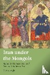 Aigle, Denise - Iran under the Mongols