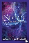 Brigid Kemmerer - Spirit