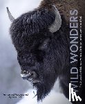 Cook, Julia - Wild Wonders