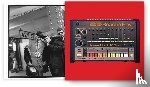 Merlis, Ben - Beastie Boys: Licensed to Ill